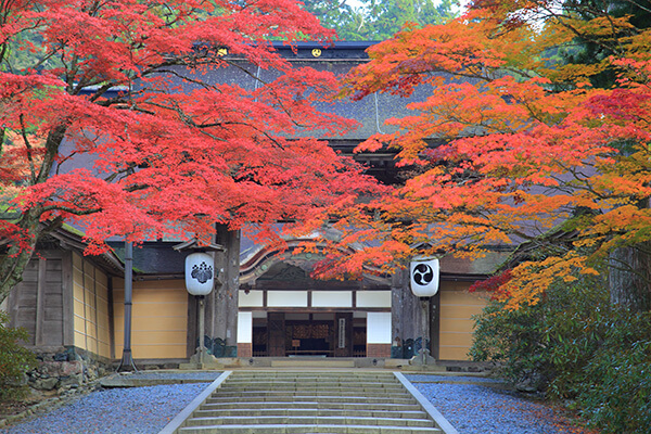 高野山東塔エッチング