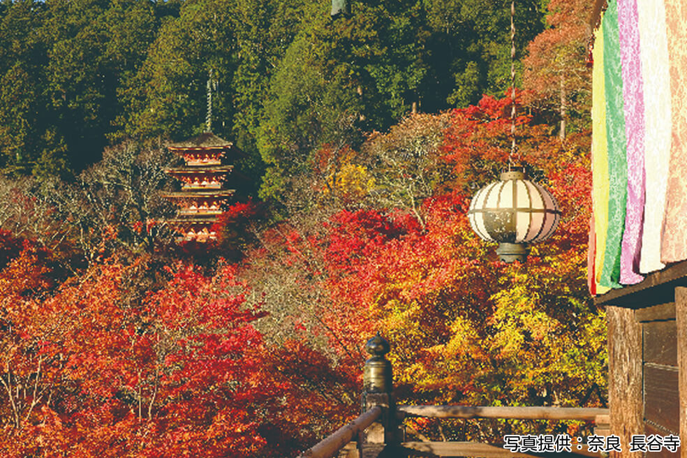 四季の旅の画像