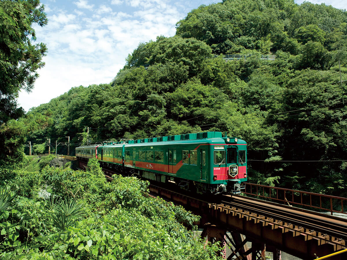 世界遺産 高野山 特別列車こうや花鉄道 天空 にご乗車 トラストツアー 山陽バス