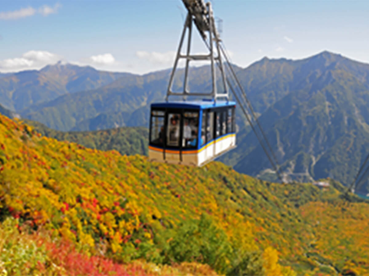 立山黒部アルペンルートと上高地 3日間 トラストツアー 山陽バス
